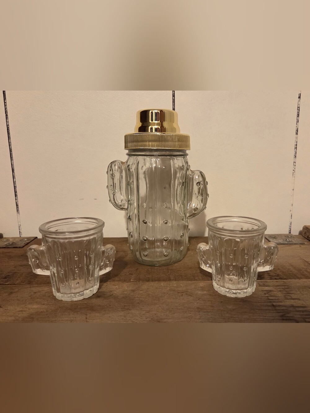 Glass Cactus Coctail Shaker With Shot Glasses